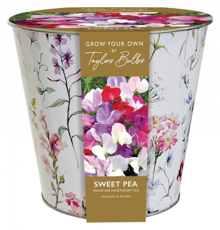 SH36-Zinc-Floral-Sweet-Pea-Planter