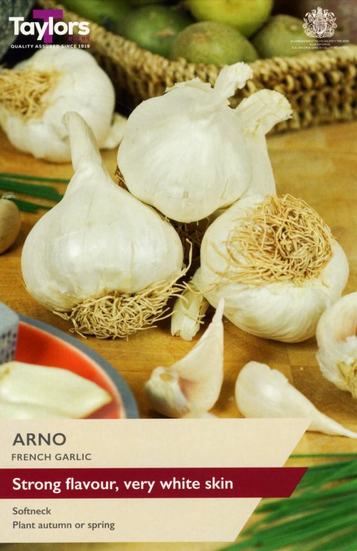 SVEG9D-Garlic-Arno