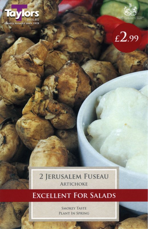 Jerusalem Artichoke SVEG14001