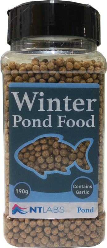 NTLabs-Pond-winter pond food individual