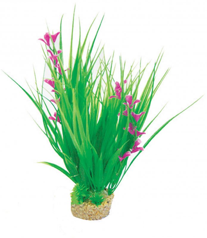 PP357