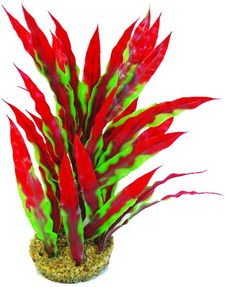 PP355