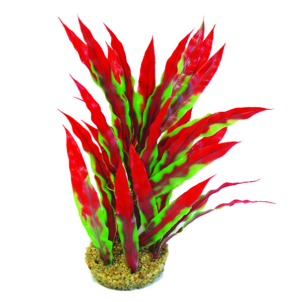 PP355