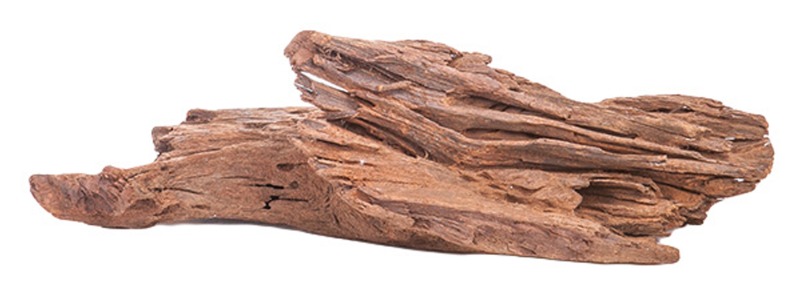 MT010