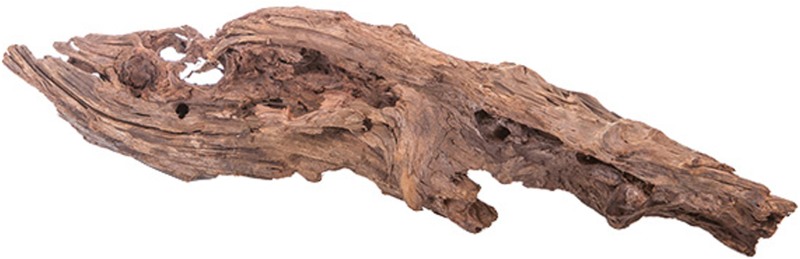 MT013