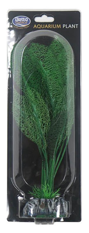 PP555