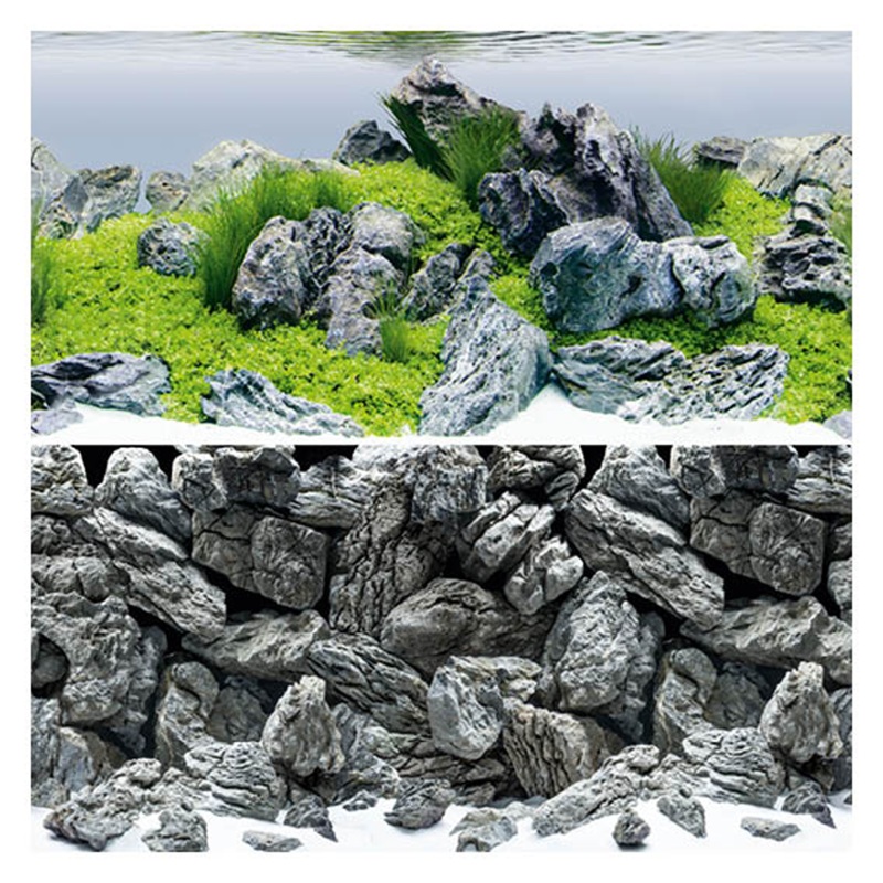 BG111