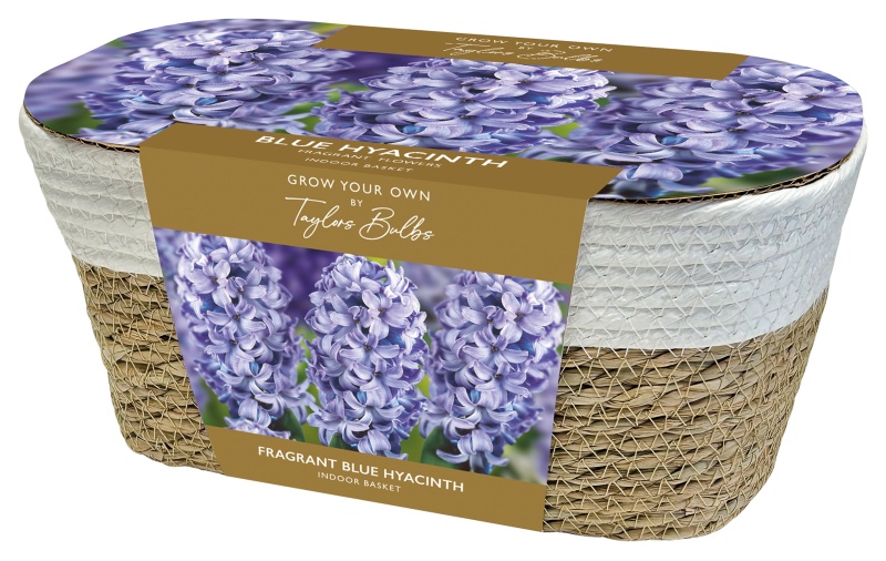 AH71-Hyacinth-Basket-Blue