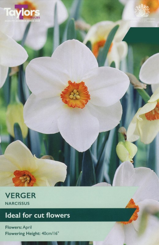TP128-Verger