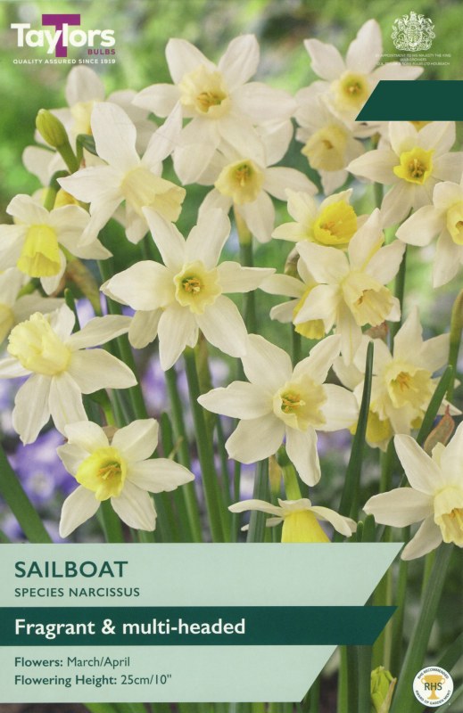 TP248-Sailboat-1
