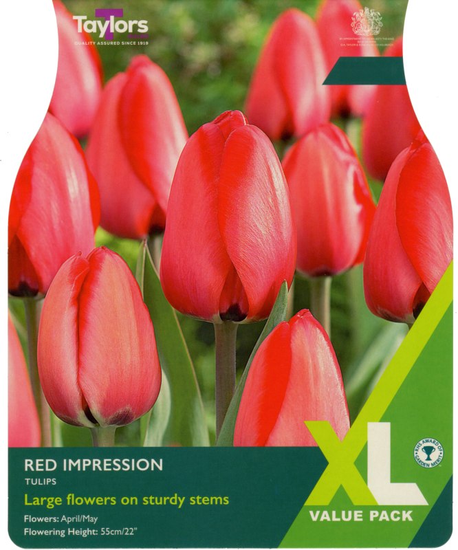 XL377-Red-Impression-scaled