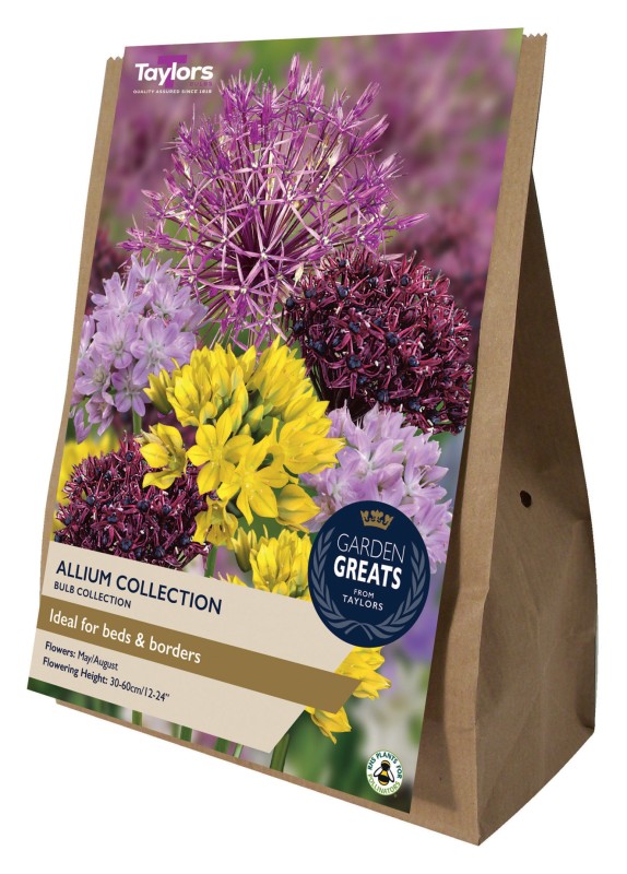 AV615-Garden-Greats-Allium-Collection-scaled