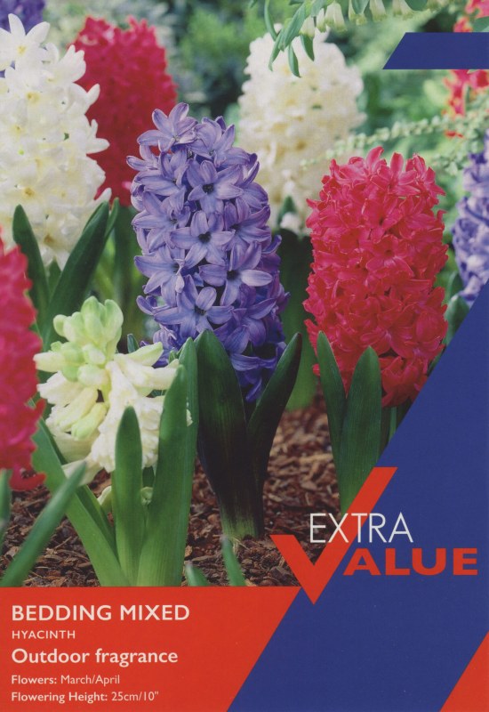 EV127-Hyacinth-Bedding-Mixed-scaled