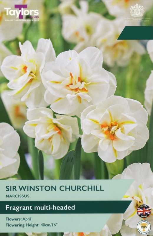 TP133-Sir-Winston-Churchill