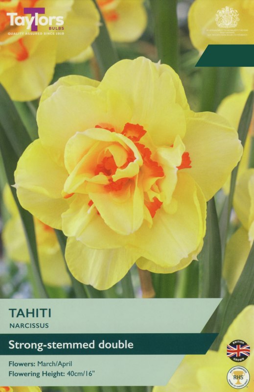 TP147-Tahiti