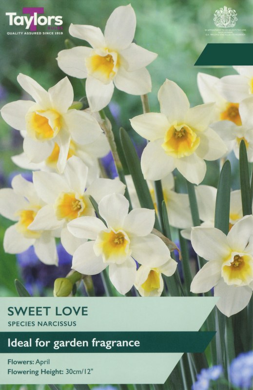 TP252-Sweet-Love-1