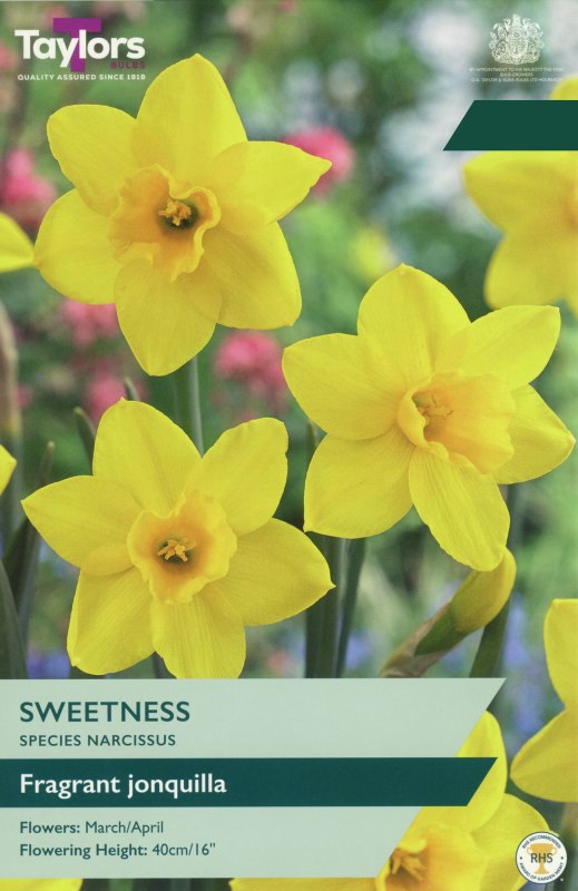 TP258-Sweetness-1
