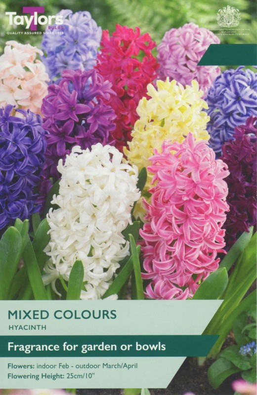 TP622-Mixed-garden