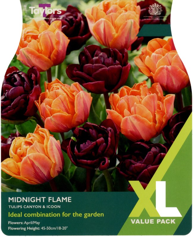 XL120-Midnight-Flame-scaled