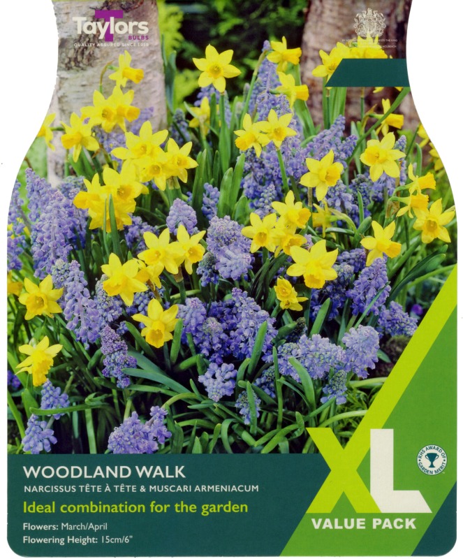 XL175-Woodland-Walk-scaled