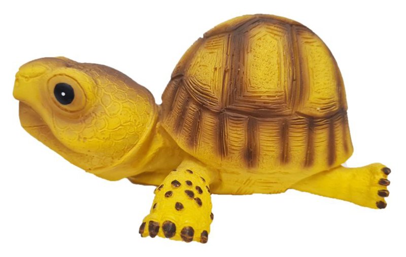 MS623