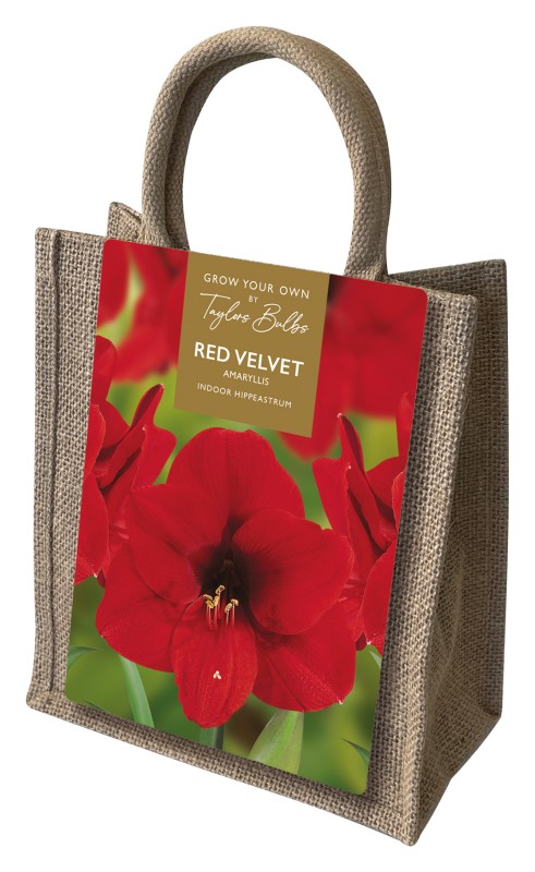 AP66-Amaryllis-Jute-Bag