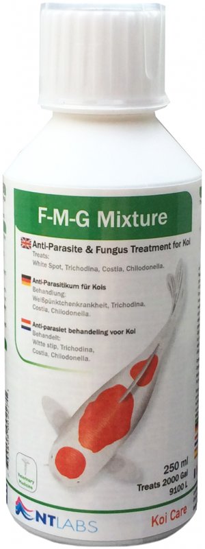 KoiCare-fmg