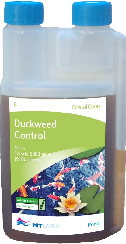 NTLabs-Pond-cristalclear