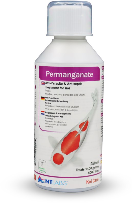 Permanganate 250ml FR