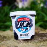 DogIceCreamscoops-tub-landscape