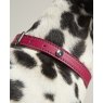 05553_05554_05555_05556_Joules_pink_leather_collar (2)