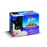 FELIX PCH MIXED 12PK