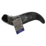 HOLLINGS Buffalo Horn Jumbo Size   EACH