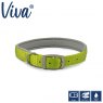 ANCOL Padded Viva Collar Lime 50-59cm Size 7