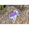 4540017 - Smart Gardeners - Medium - Purple - Insitu