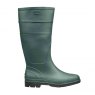 BRIERS Tall Wellingtons - Green S5