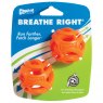 Chuckit! Breathe Right Fetch Ball Small (2Pk) 4.8cm