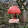 A01327 robinandsmallbirdfeeder_gardman_A01327_0020_a_lifestyle