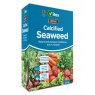 VITAX Calcified Seaweed   2.5kg