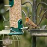 60053028 allweatherlargeseedfeeder_peckish_60053028_0020_a_lifestyle