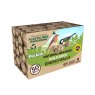 PECKISH Natural Balance Energy Balls 50 Refill Box