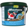 4004218138278_Tetra Pond Fish Food Wheatgerm Sticks 2kg_01