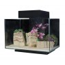 AQUA ONE Platform 21 Black, Incl Filter, LED Light And Base 40 x 25 x 25cmH