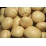 SEED POTATO - FIRST EARLY 'Organic Colleen' - 2.5kg