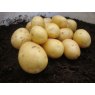 SEED POTATO - SECOND EARLY 'Vivaldi' - 5 Tubers