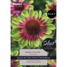 SSE168 Echinacea Green Twister.jpeg