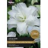 SSE167 Lilium Lotus Pure
