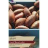 SHALLOT - FRENCH 'Mehnir'