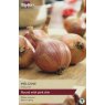 SHALLOT - FRENCH 'Meloine'