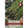 ASPARAGUS Gijnlim F1